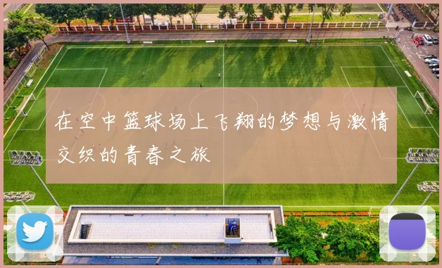 在空中篮球场上飞翔的梦想与激情交织的青春之旅