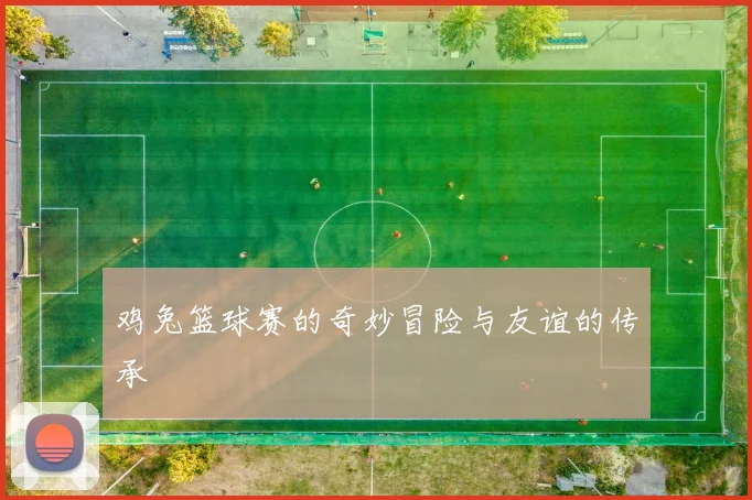 鸡兔篮球赛的奇妙冒险与友谊的传承