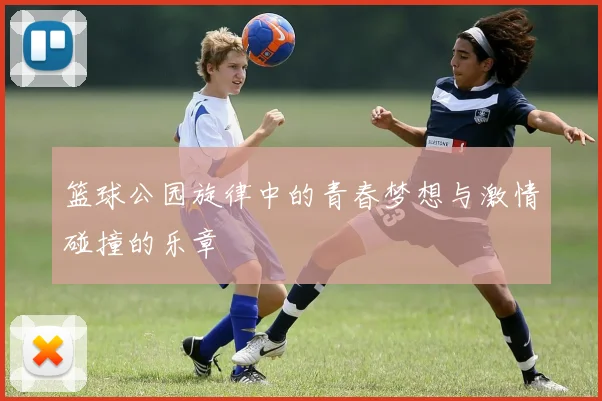 篮球公园旋律中的青春梦想与激情碰撞的乐章