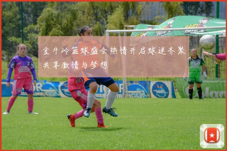 金牛岭篮球盛会热情开启球迷齐聚共享激情与梦想