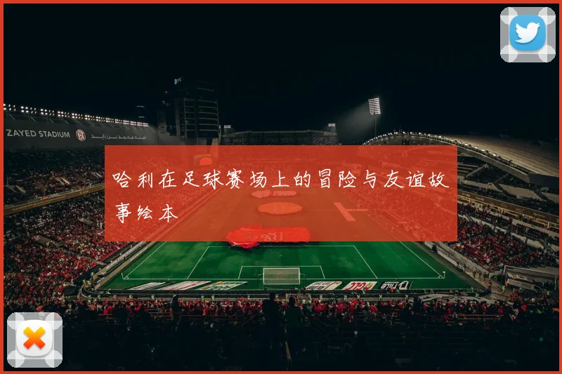 哈利在足球赛场上的冒险与友谊故事绘本