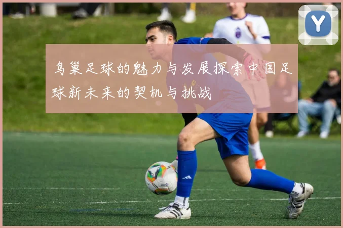鸟巢足球的魅力与发展探索中国足球新未来的契机与挑战