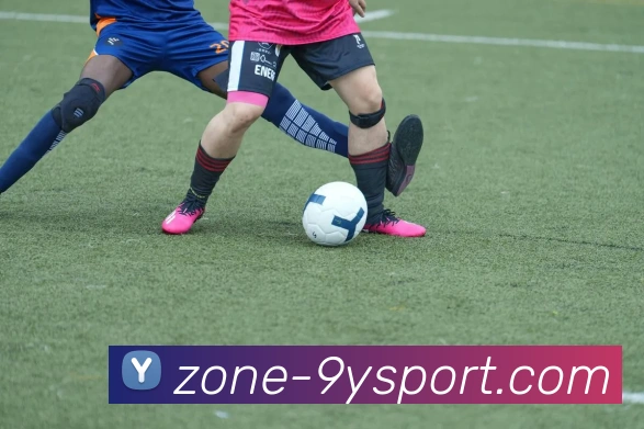 九游官网APP 封面图